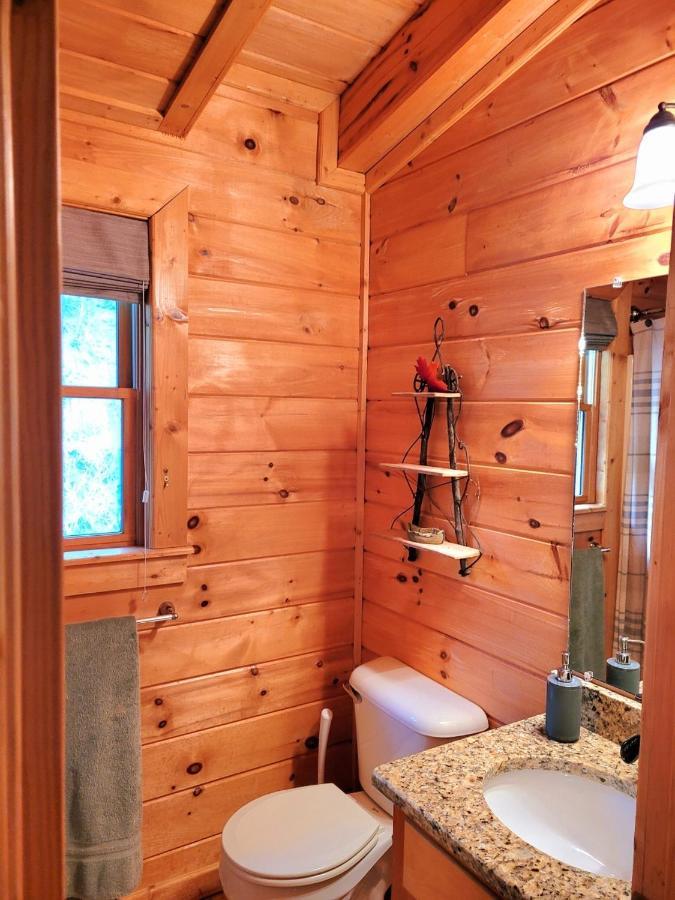Luxury Cabin With Waterview And Privacy, Hiking Блу Ридж Екстериор снимка