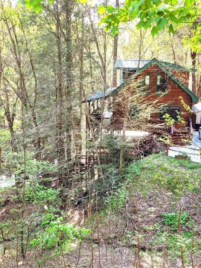 Luxury Cabin With Waterview And Privacy, Hiking Блу Ридж Екстериор снимка